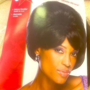 Brand new dream girl wig.